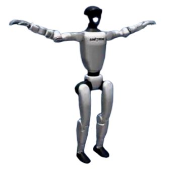 T-Pose